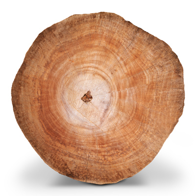 Teak_Timber-Wood