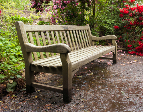 Aged-teak-park-bench